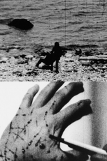 Memories of the Seaside (海辺の記憶)