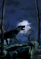 Wolf Moon (Wolf Moon)
