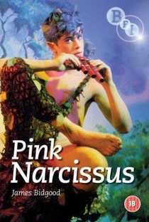 Pink Narcissus - Poster / Capa / Cartaz - Oficial 2