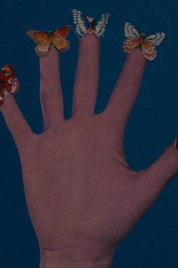 Poster de Curta Some Butterflies (1975)