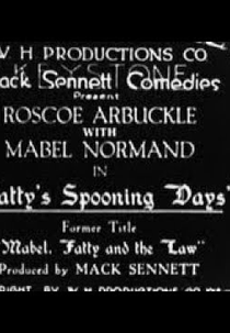 Mabel, Fatty and the Law (Mabel, Fatty and the Law)