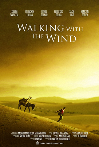 Poster 1 de Filme Caminhando com o Vento (2017)