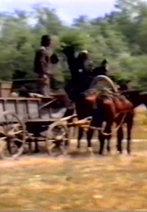 The Willow Tree ( Der Weidenbaum)