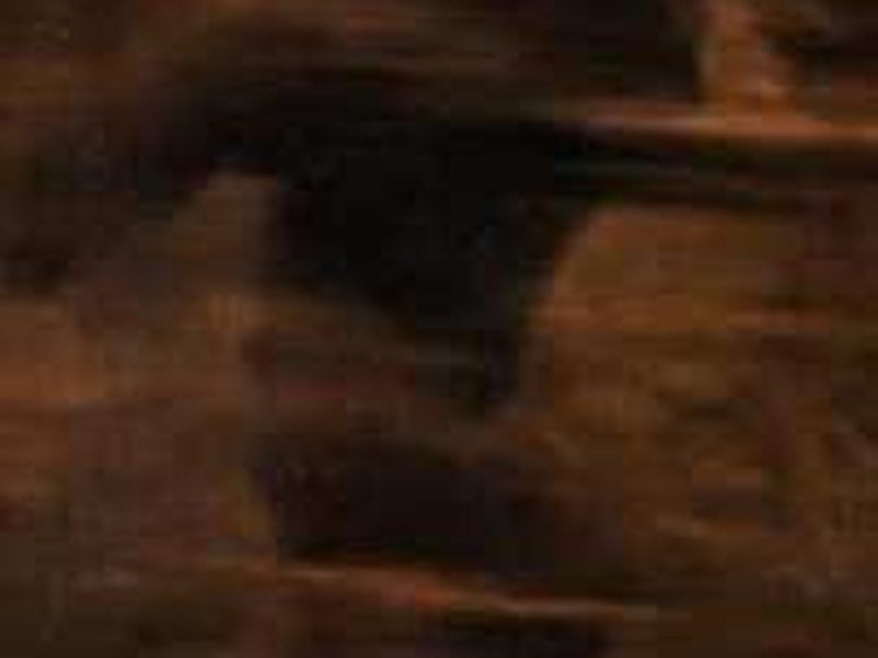 Foto 1 de Eles Existem