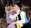 The Barnyard