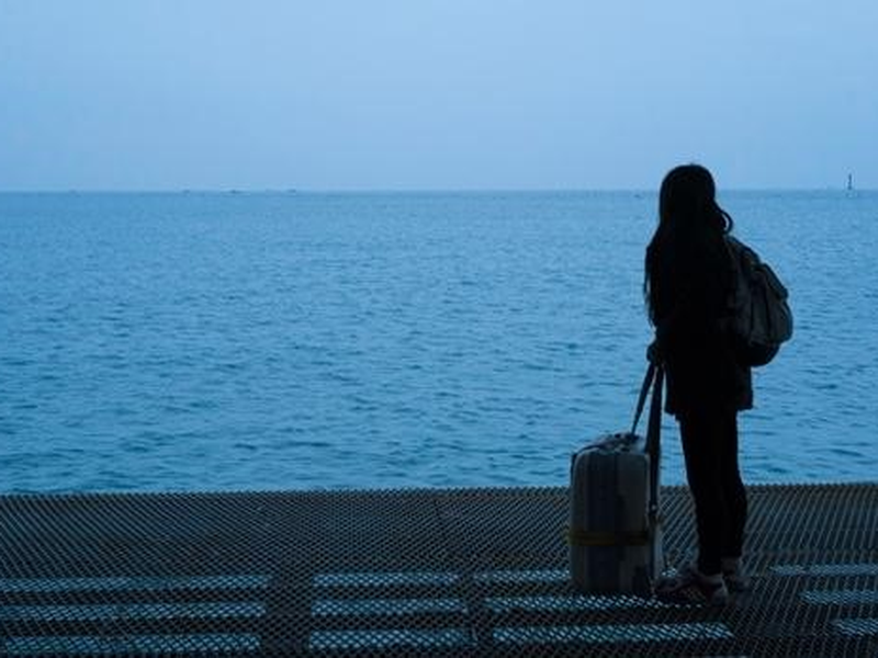 Foto 2 de Steel Flower