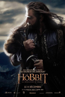 O Hobbit: A Desolação de Smaug - Poster / Capa / Cartaz - Oficial 18
