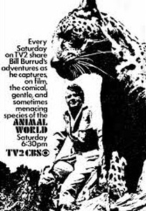 O Mundo Animal (The Animal World)