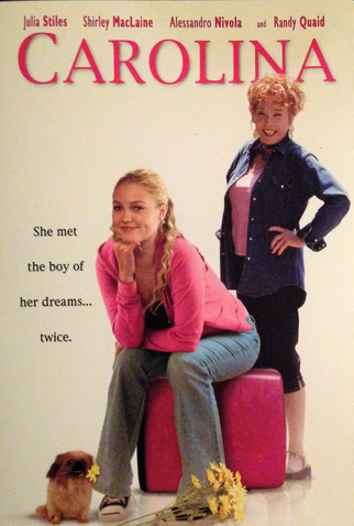Poster 7 de Filme Carolina (2003)