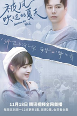 Summer Wind (被风吹过的夏天)