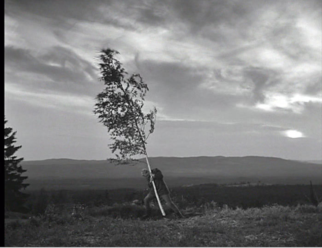 Daniel Hetzel - Foto 1