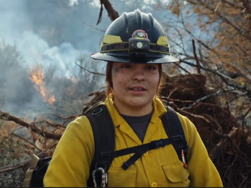 Foto 2 de Traga Sua Própria Brigada