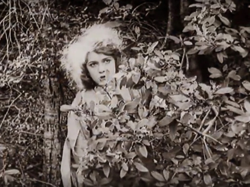 Foto 3 de Fanchon, the Cricket