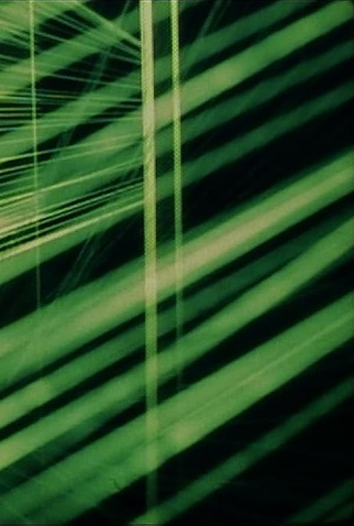 Poster 1 de Curta Water Spell (2007)