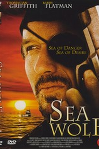 Poster de Filme A Maldição do Pirata (2002)