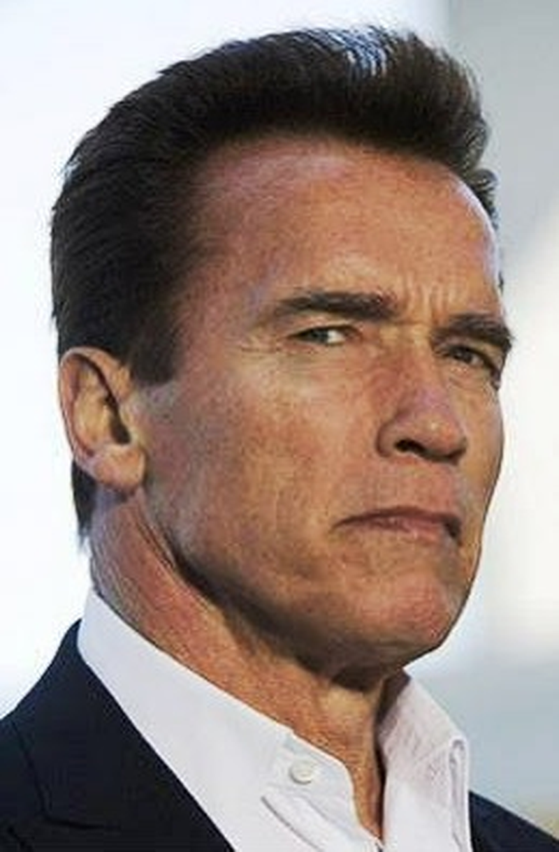 Arnold Schwarzenegger - Foto 19