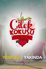 Aroma de Morango (Çilek Kokusu)