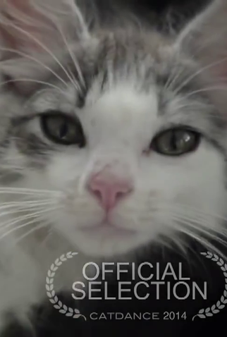 Poster 1 de Curta Ricky (2014)