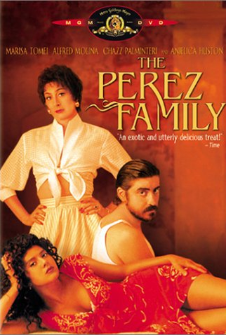 Poster 1 de Filme Tudo por um Sonho (1995)