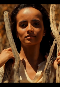 Ser Tão Avoador (Ser Tão Avoador)