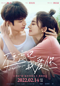 Don't Forget I Love You (不要忘记我爱你)