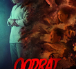 Qodrat