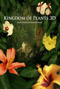 O Reino das Plantas - Poster / Capa / Cartaz - Oficial 1
