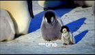 Snow Chick: A Penguin's Tale - Trailer - BBC One Christmas 2015