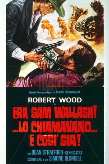 Poster de Filme Armas Selvagens (1971)