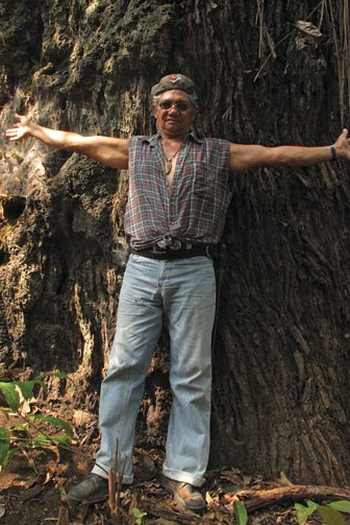 Poster de Filme Toxic Amazônia (2011)