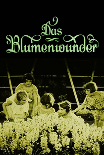 Das Blumenwunder - Poster / Capa / Cartaz - Oficial 3