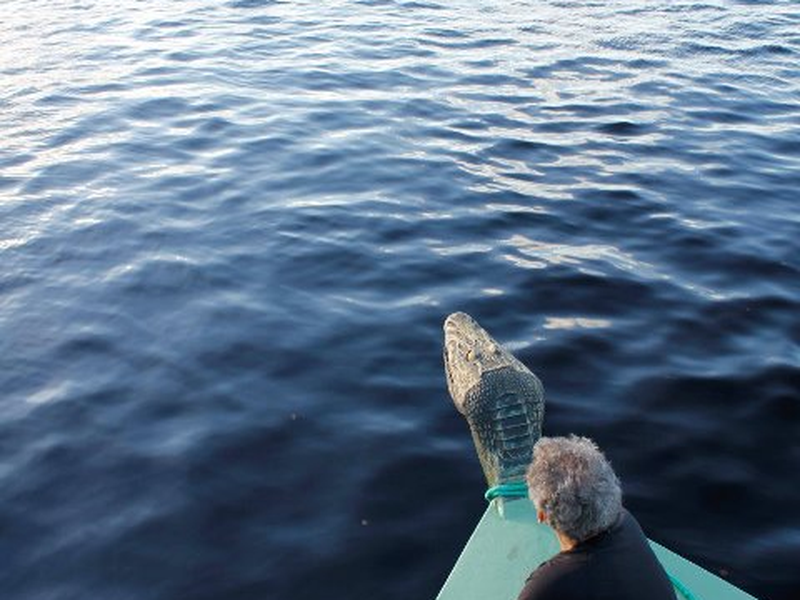 Foto 9 de Amazônia Eterna