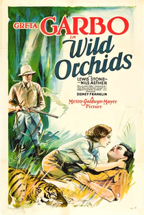 Orquídeas Selvagens - Poster / Capa / Cartaz - Oficial 1