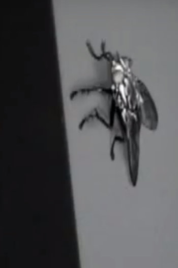  de Curta Ctrl Alt Fly (2005)