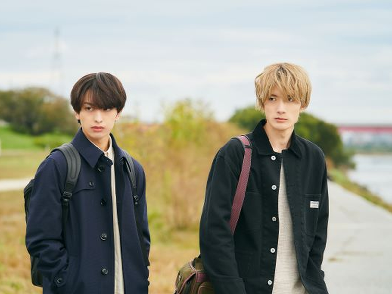 Foto 5 de Ameiro Paradox