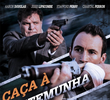 Caça à Testemunha