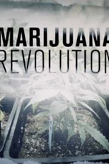 A Revolução da Maconha (The Marijuana Revolution)