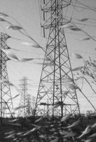 Poster 1 de Curta Marginalia (2015)