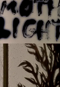 Mothlight (Mothlight)