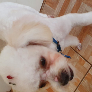 Foto de perfil de Josimar BaSf