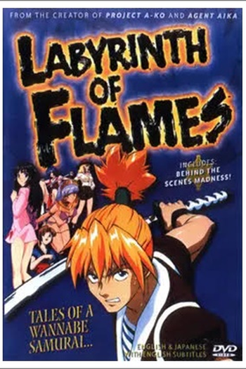 Poster de Série Labyrinth of Flames (2000)