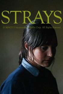Strays - Poster / Capa / Cartaz - Oficial 1