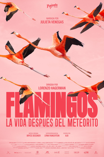 Poster de Filme Flamingos: A Vida Depois do Meteorito (2026)