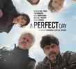 Um Dia Perfeito