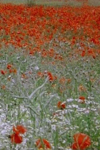 Poster de Filme Hic rosa, partition botanique (2007)