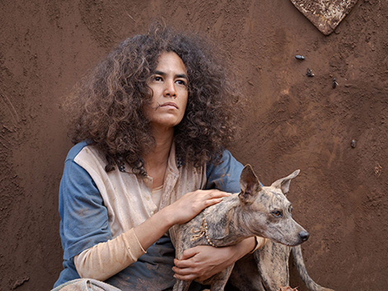 Foto 2 de O Silêncio das Ostras