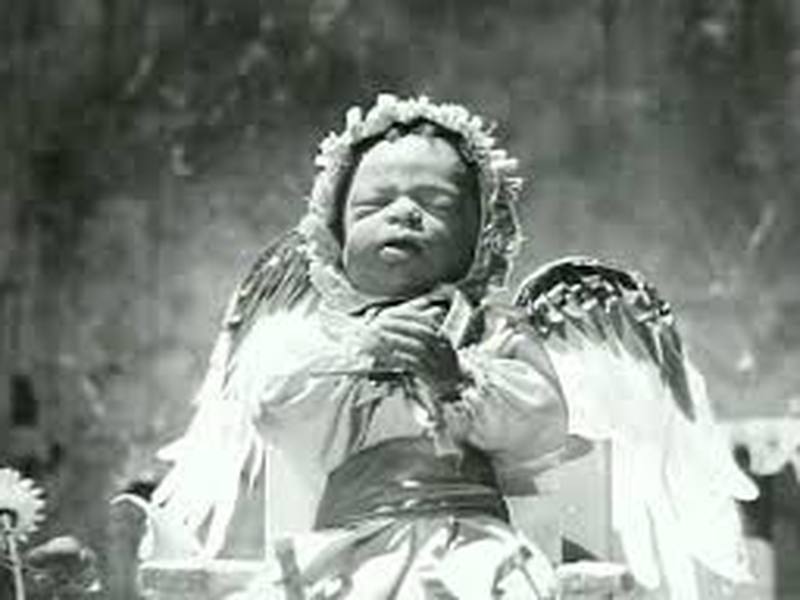 Foto 15 de Largo viaje 