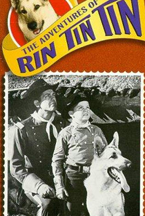 As Aventuras de Rin Tin Tin - Poster / Capa / Cartaz - Oficial 1