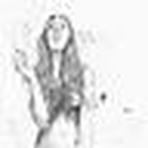 Foto de perfil de Drieli Venâncio