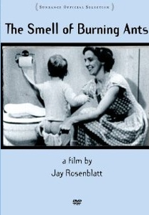 O Cheiro de Formigas Queimando (The Smell of Burning Ants)